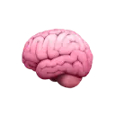 Icon brain
